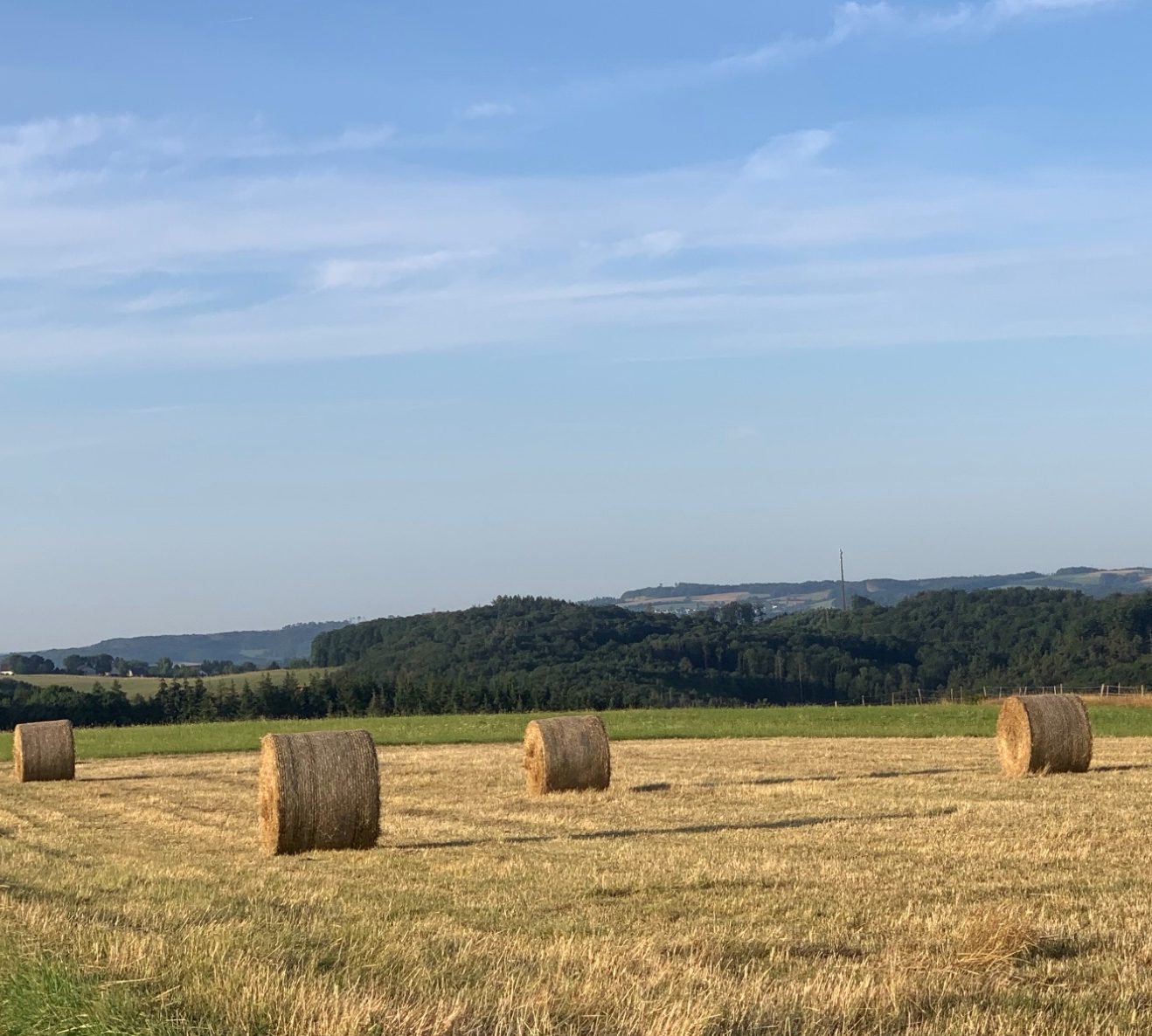 Heuernte in Langenberg