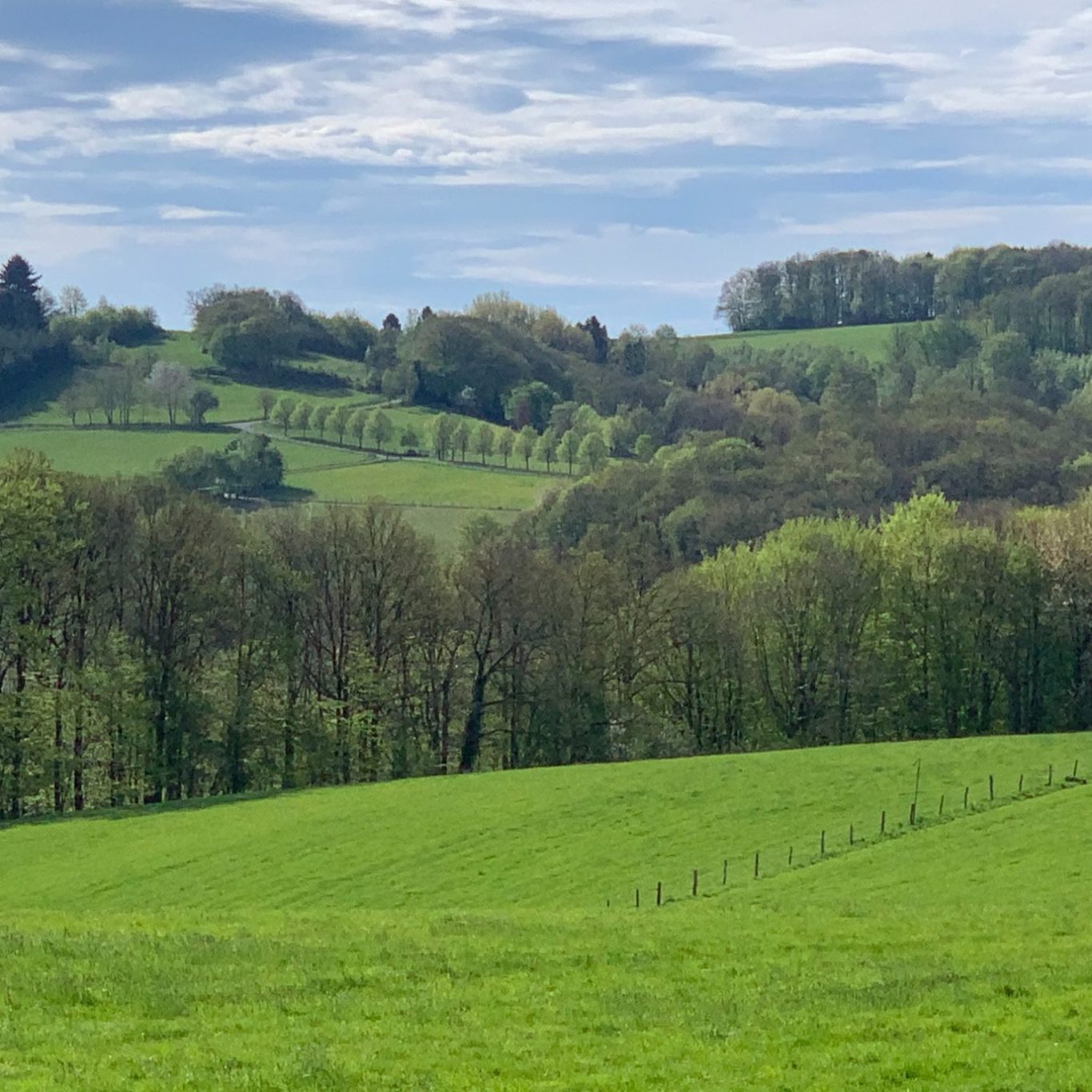 Langenberger Feld/Landlebenweg